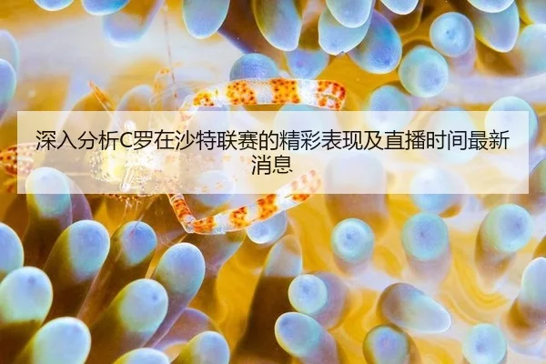 深入分析C罗在沙特联赛的精彩表现及直播时间最新消息
